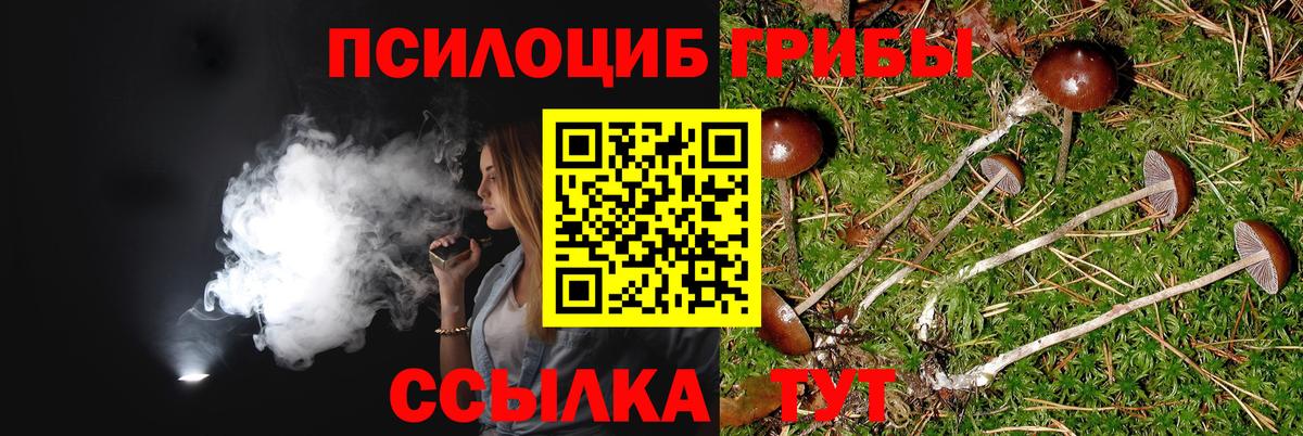 Избербаш  Псилоцибиновые грибы MAGIC MUSHROOMS  Вход с VPN 
